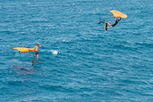 Load image into Gallery viewer, The Ginxu - Sale