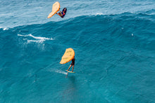 Load image into Gallery viewer, The Ginxu - Sale