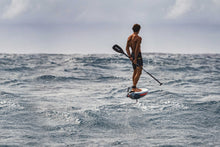 Load image into Gallery viewer, KT Ginxu Dragonfly