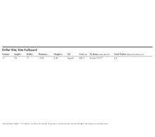 Load image into Gallery viewer, KT Drifter Kite